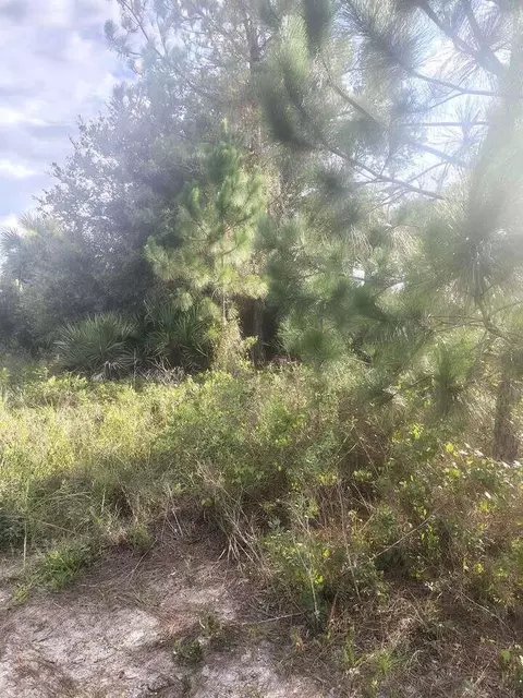16791 NW 314th St, Okeechobee, FL 34972 photo 3