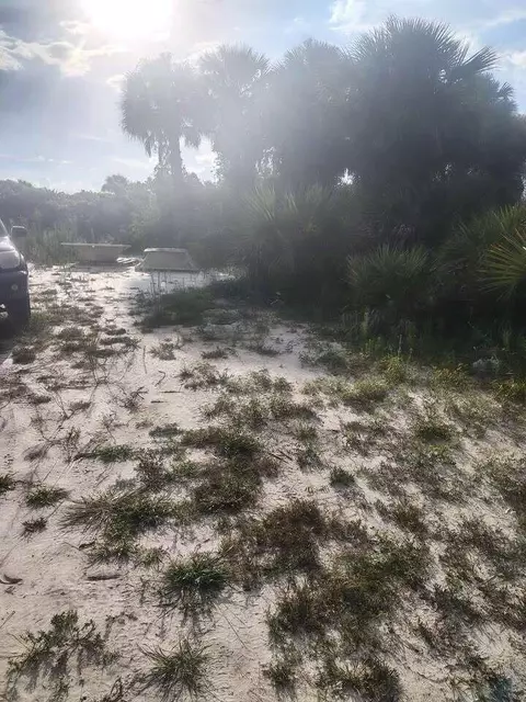 16791 NW 314th St, Okeechobee, FL 34972 photo 11