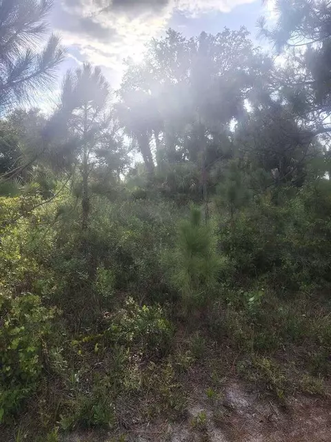 16791 NW 314th St, Okeechobee, FL 34972 photo 5