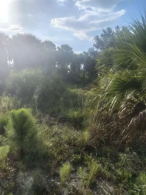 16791 NW 314th St, Okeechobee, FL 34972 photo 8