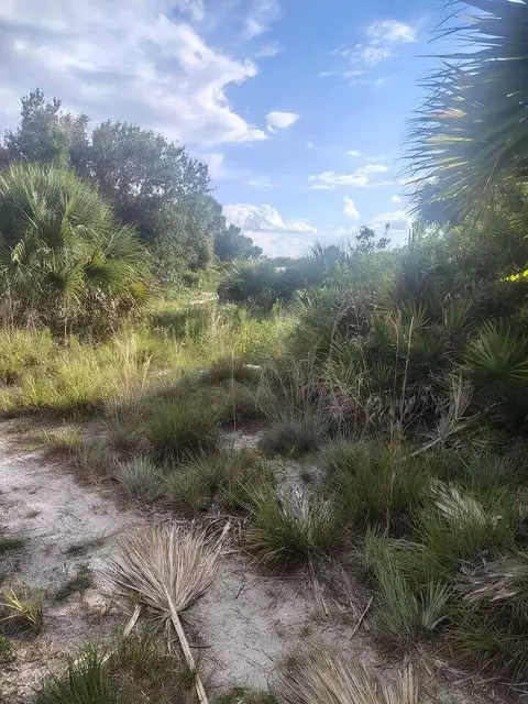16791 NW 314th St, Okeechobee, FL 34972 photo 7