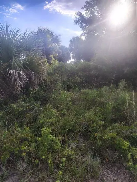 16791 NW 314th St, Okeechobee, FL 34972 photo 6