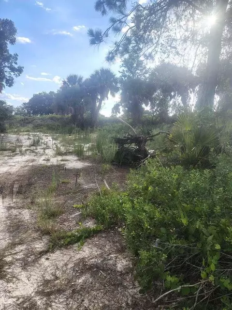 16791 NW 314th St, Okeechobee, FL 34972 photo 15