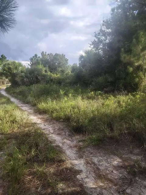 16791 NW 314th St, Okeechobee, FL 34972 photo 4