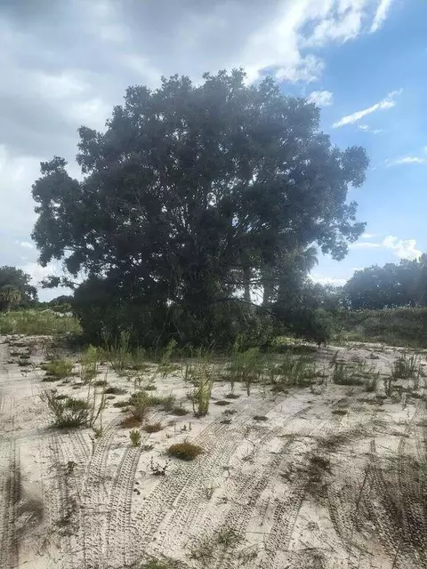 16791 NW 314th St, Okeechobee, FL 34972 photo 16