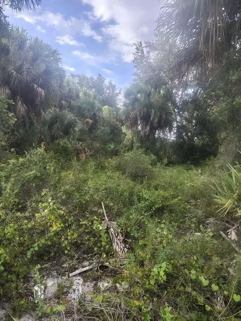 16791 NW 314th St, Okeechobee, FL 34972 photo 12
