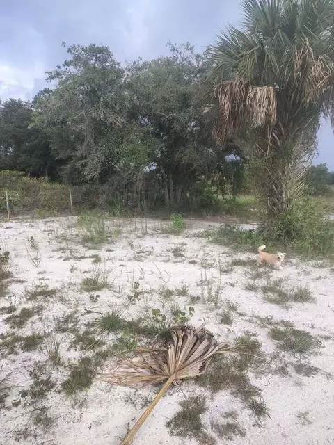 16791 NW 314th St, Okeechobee, FL 34972 photo 19