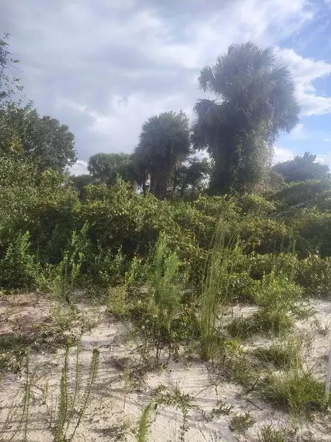 16791 NW 314th St, Okeechobee, FL 34972 photo 10