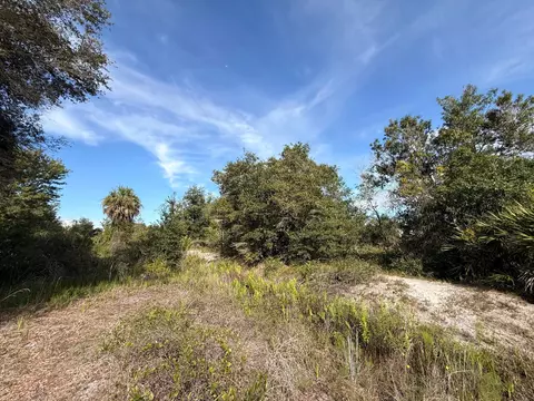 21231 NW 270th St, Okeechobee, FL 34972 photo 7