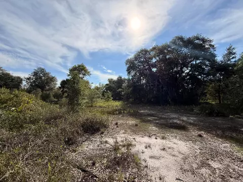 21231 NW 270th St, Okeechobee, FL 34972 photo 8