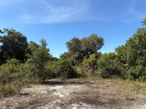 21231 NW 270th St, Okeechobee, FL 34972 photo 4