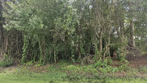 1757 SW Day St, Port St Lucie, FL 34953
