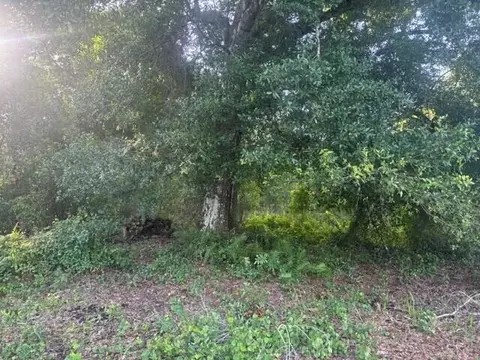 0 NW 4th St, Okeechobee, FL 34972 photo 3