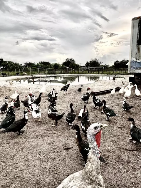 Other - 455 N Datil St, Clewiston, FL 33440 photo 7 of 9