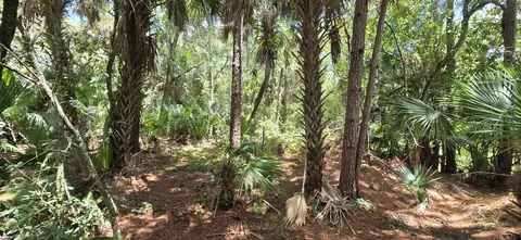 1000 NW 38th Ave, Okeechobee, FL 34972 photo 32