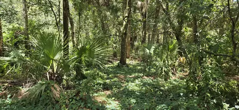 1000 NW 38th Ave, Okeechobee, FL 34972 photo 33