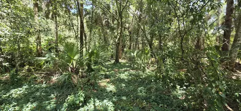 1000 NW 38th Ave, Okeechobee, FL 34972 photo 31