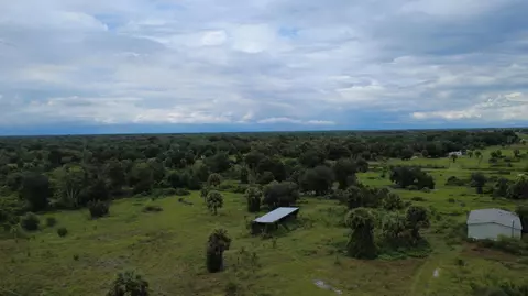 18409 NW 278th St, Okeechobee, FL 34972 photo 3