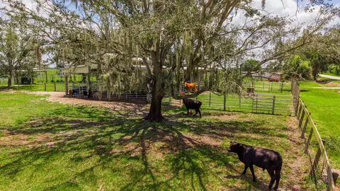 Other - 8661 E Center St, Okeechobee, FL 34974 photo 22 of 27
