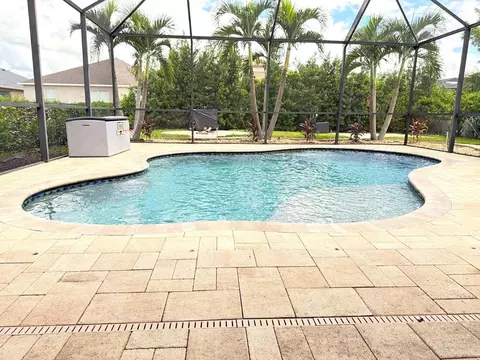 Exterior - 10735 Eveningwood Ct, Trinity, FL 34655 photo 14 of 20