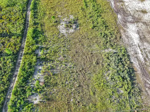 22184 NW 278th St, Okeechobee, FL 34972 photo 11