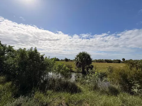 2348 Cabbage Dr, FL photo 9
