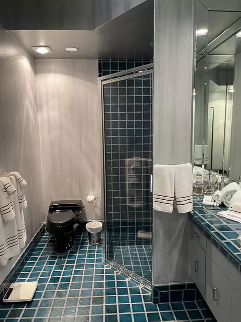 Bath - 21156 Ormond Ct, Boca Raton, FL 33433 photo 1 of 6