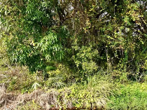 tbd N 37th St, Fort Pierce, FL 34947