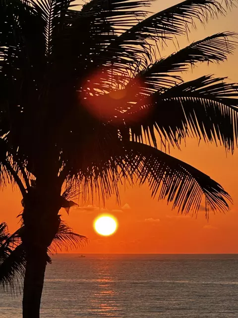 Other - 275 Palm Ave #A404, Jupiter, FL 33477 photo 3 of 18