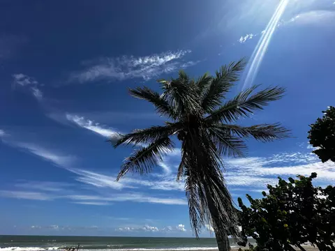 Other - 275 Palm Ave #A404, Jupiter, FL 33477 photo 13 of 18