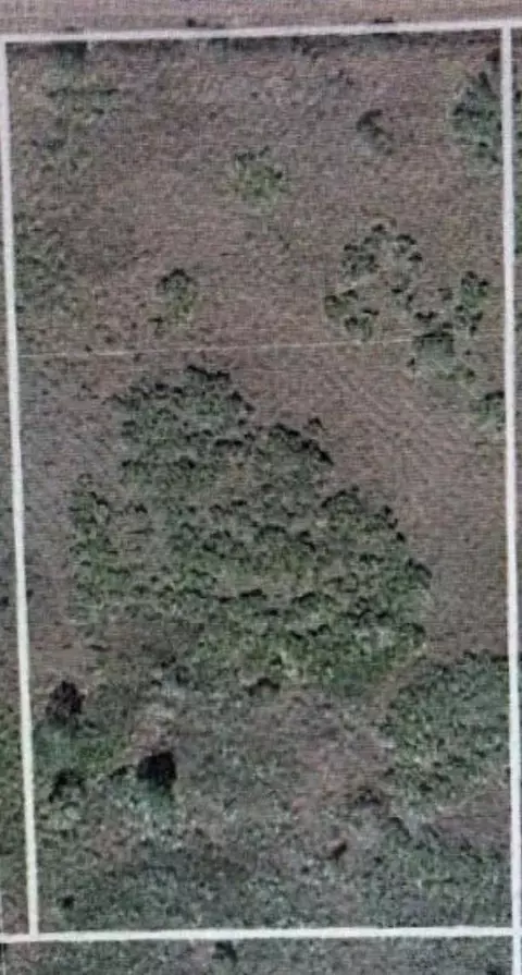 Undisclosed, Okeechobee, FL 34972 photo 2