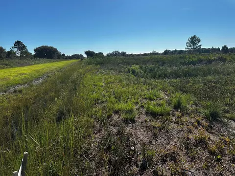 Undisclosed, Okeechobee, FL 34972 photo 11