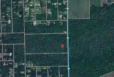 3540 Apple Ave, Bunnell, FL 32110 photo 2