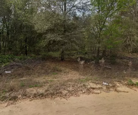 02 N Helmers Ave, Interlachen, FL 32148 photo 2