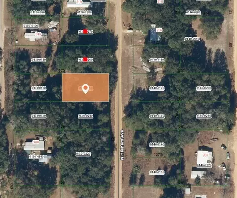 00 N Helmers Ave, Interlachen, FL 32148 photo 3