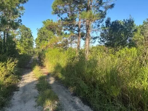 720 Parrot Ave, Sebring, FL 33872 photo 3