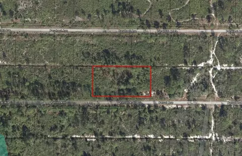 720 Parrot Ave, Sebring, FL 33872 photo 5