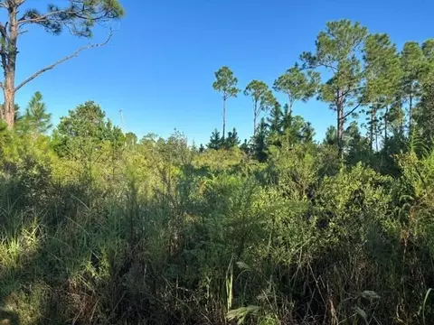 720 Parrot Ave, Sebring, FL 33872 photo 2