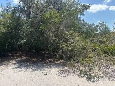 0 Holopaw Groves Rd, Saint Cloud, FL 34772 photo 2