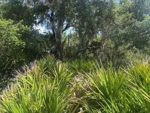 0 Holopaw Groves Rd, Saint Cloud, FL 34772 photo 3