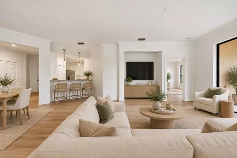 Living - 201 Shell Falls Dr, Apollo Beach, FL 33572 photo 4 of 5