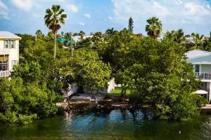 View/Area - 6 Beach Dr, Key West, FL 33040 photo 4 of 9