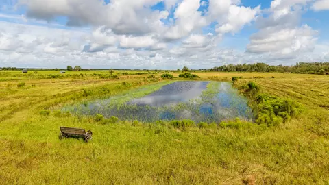 View/Area - 1455 NW 160th St, Okeechobee, FL 34972 photo 1 of 14