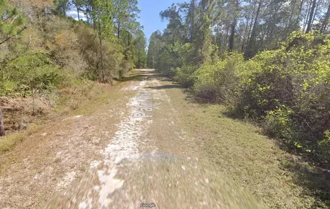 337 Palm Way, Georgetown, FL 32139 photo 9