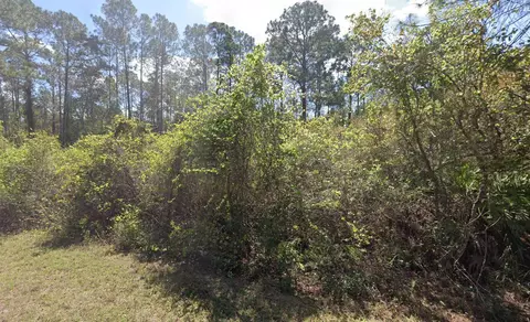 337 Palm Way, Georgetown, FL 32139 photo 7