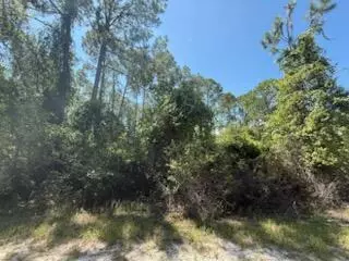337 Palm Way, Georgetown, FL 32139 photo 4