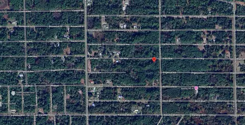 337 Palm Way, Georgetown, FL 32139 photo 8
