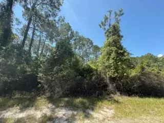 337 Palm Way, Georgetown, FL 32139 photo 5