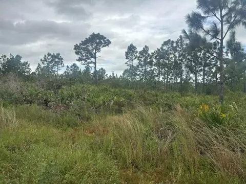 0 Kenansville, Okeechobee, FL 34739 photo 4
