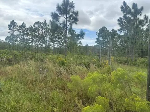 0 Kenansville, Okeechobee, FL 34739 photo 2